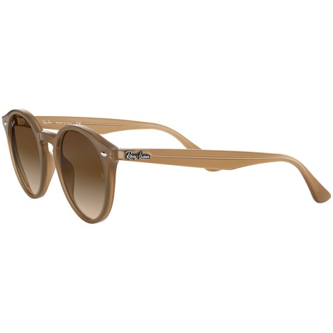 RB2180 turtledove
