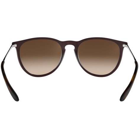 Erika Classic RB4171 trasparent blue