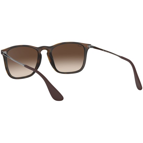Chris RB4187 tortoise
