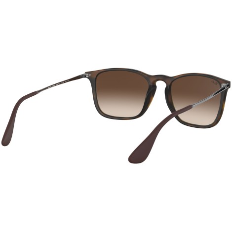 Chris RB4187 tortoise