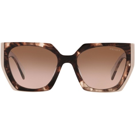 PR 15WS tortoise caramel and powder