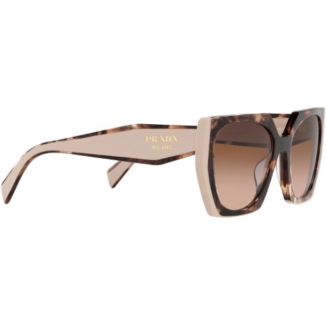 PR 15WS tortoise caramel and powder