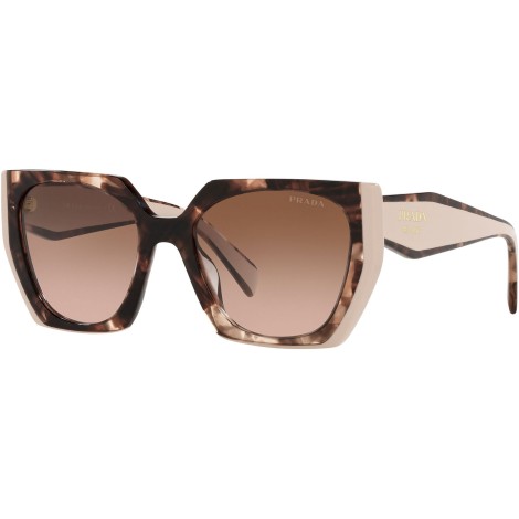 PR 15WS tortoise caramel and powder