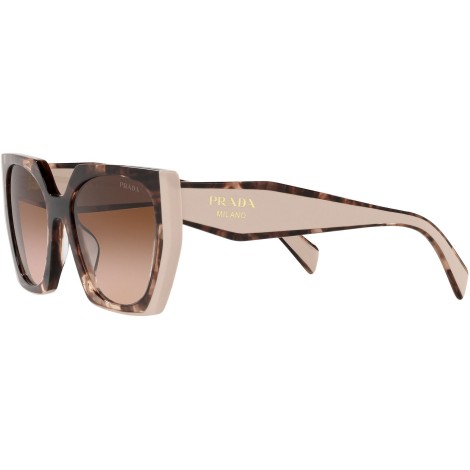 PR 15WS tortoise caramel and powder