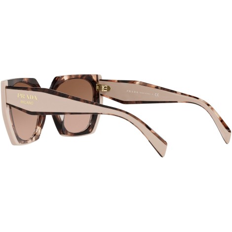 PR 15WS tortoise caramel and powder
