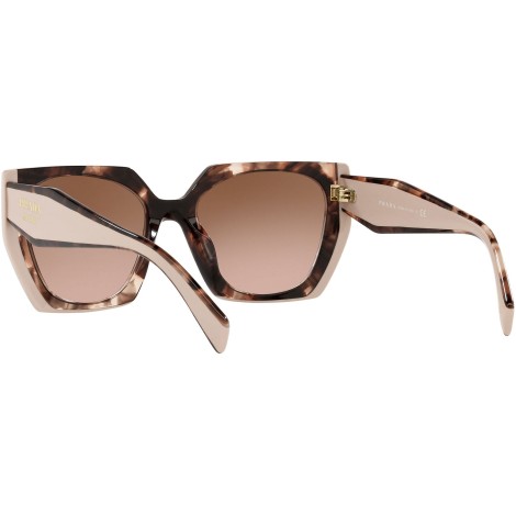 PR 15WS tortoise caramel and powder