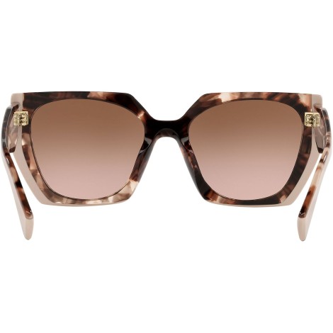 PR 15WS tortoise caramel and powder