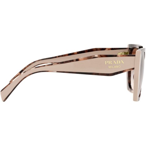 PR 15WS tortoise caramel and powder