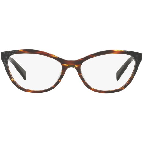 3067 002 tortoise
