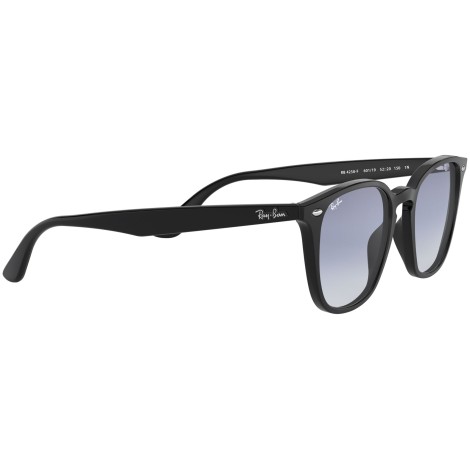 RB4258F 601/19 black