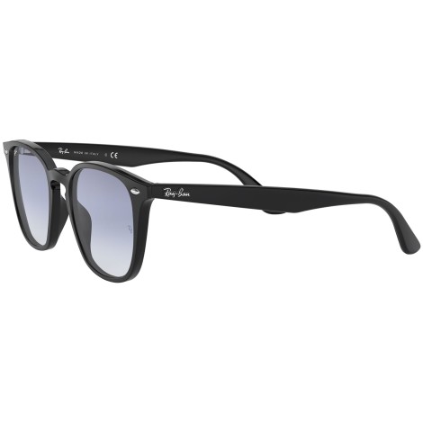 RB4258F 601/19 black