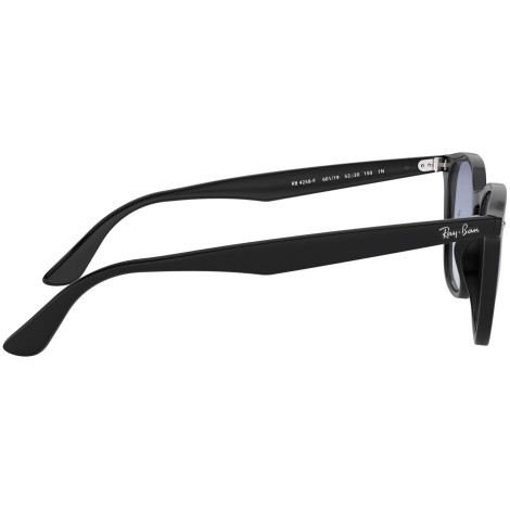 RB4258F 601/19 black