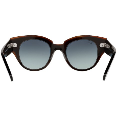 Roundabout RB2192 132241 black on transparent brown