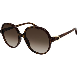 CT0350S 002 dark havana
