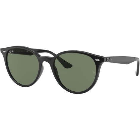 RB4305 601/71 black