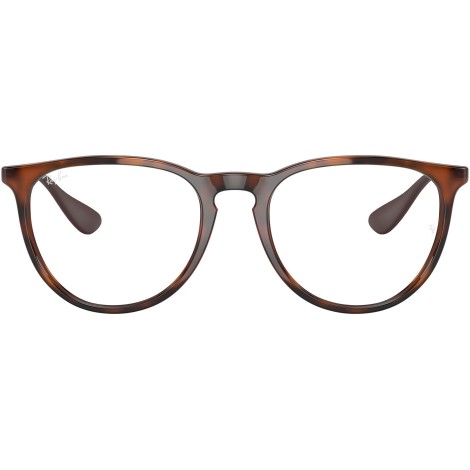 Erika RB4171 865/SB rubber havana