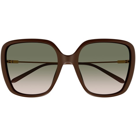 CH0173S 004 brown green