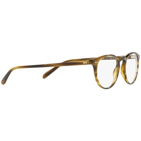 Riley-R OV5004 moss tortoise