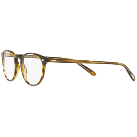 Riley-R OV5004 moss tortoise