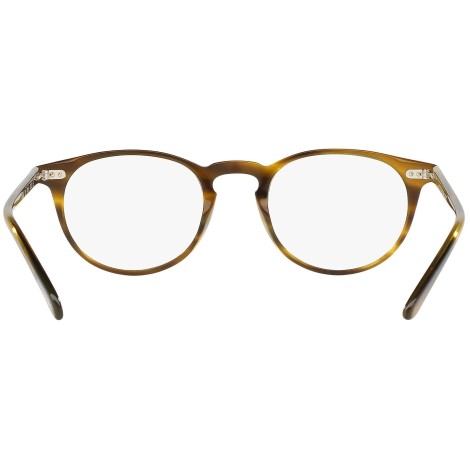 Riley-R OV5004 moss tortoise