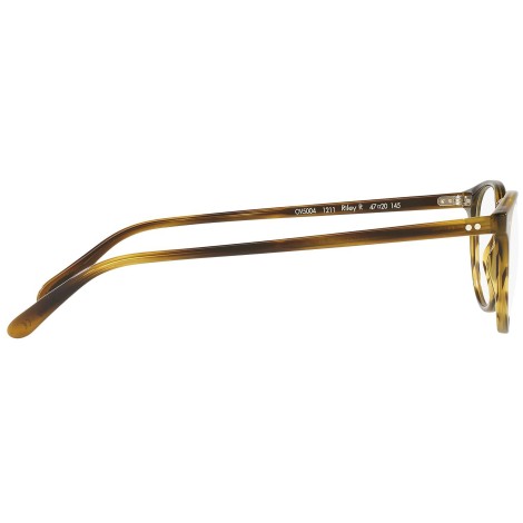Riley-R OV5004 moss tortoise