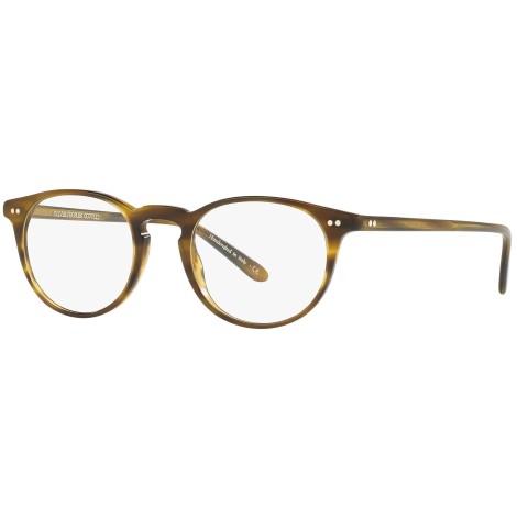 Riley-R OV5004 moss tortoise