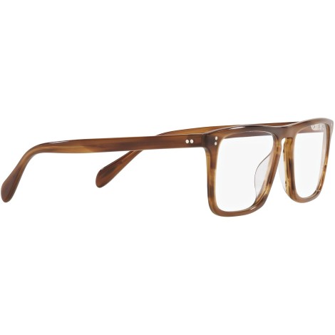 Bernardo-R OV5189U raintree