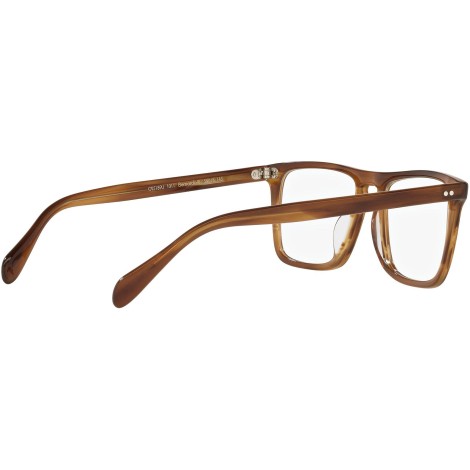 Bernardo-R OV5189U raintree