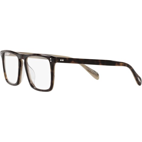 Bernardo-R OV5189U dark tortoise and horn