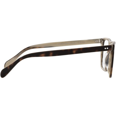 Bernardo-R OV5189U dark tortoise and horn