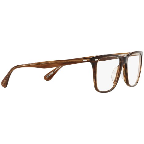 Ollis Sun OV5437SU Tuscany tortoise