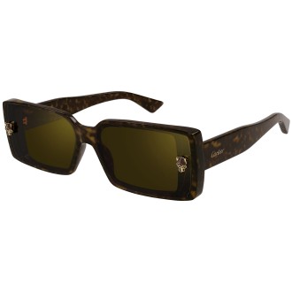 CT0358S 002 havana brown
