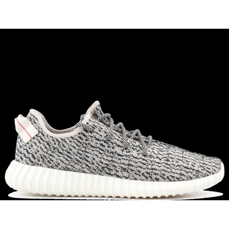 adidas Yeezy Boost 350 Turtle Dove