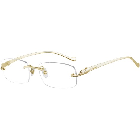 CT0061O 002 gold