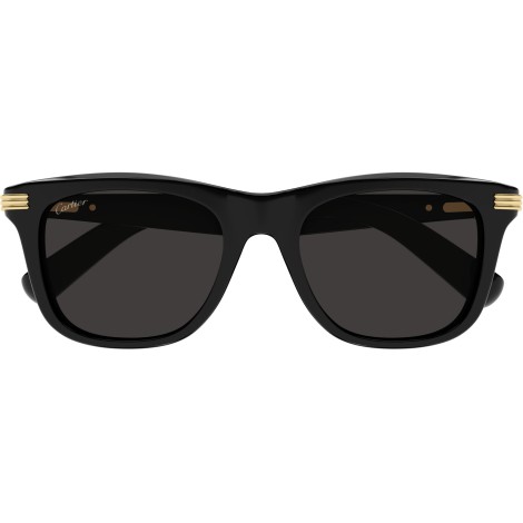 CT0396S 001 black black