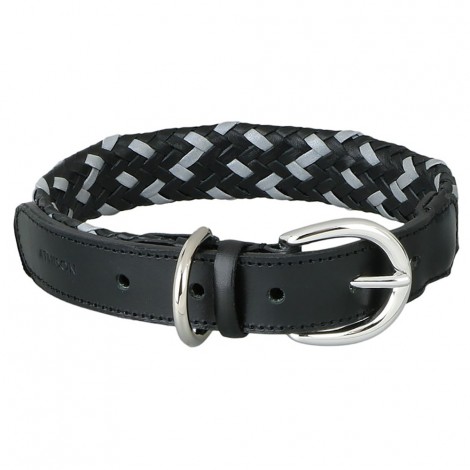 Dogs Collar