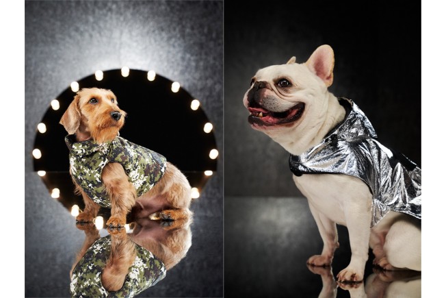 Moncler Genius - Moncler Poldo Dog Couture