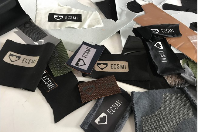 ECSMI