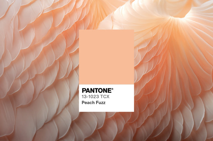 Pantone 2024: the color of the year is Peach Fuzz