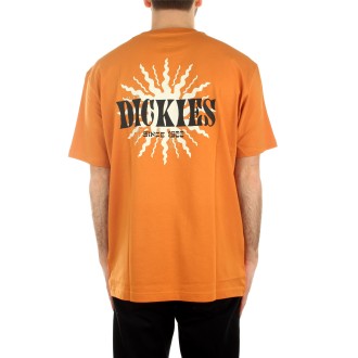 Dickies T-shirt Uomo Golden Ochre