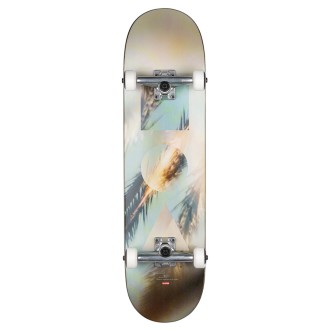 Globe Skateboard Skateboard Unisex Daydream