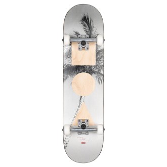 Globe Skateboard Skateboard Unisex Lone Palm