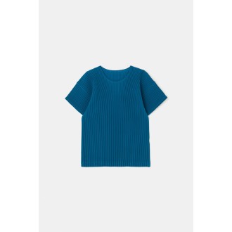 Homme Plisse Issey Miyake Color Pleats
