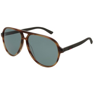GG0423S brown tortoise and green