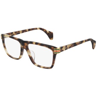 GG0527O 003 tortoise
