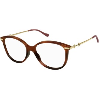 GG0967O 002 shiny tortoise