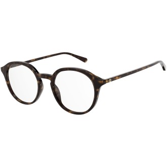 GG1004O 002 shiny tortoise