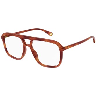 GG1078O 002 shiny tortoise