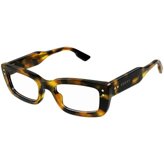 GG1216O 002 shiny tortoise