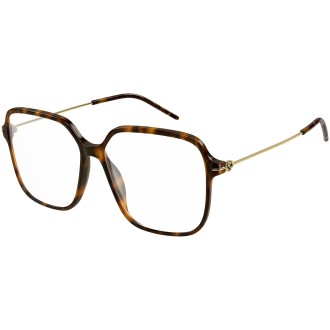 GG1271O 002 shiny tortoise